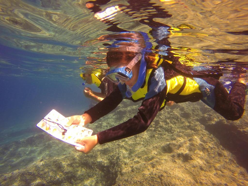 Snorkel en familia con AliSub