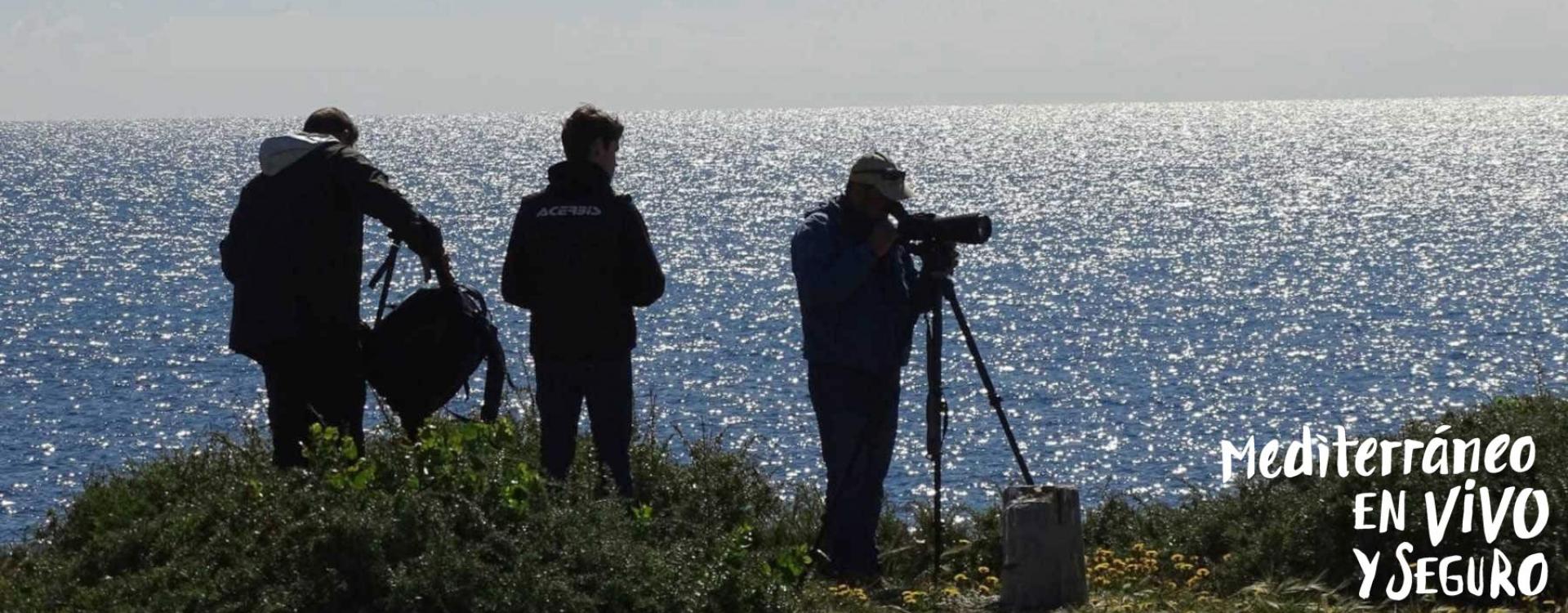 Turismo ornitológico en la Isla de Tabarca - Comunitat Valenciana