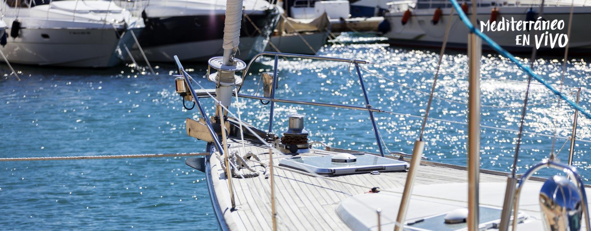 Sports marinas at the service of all	